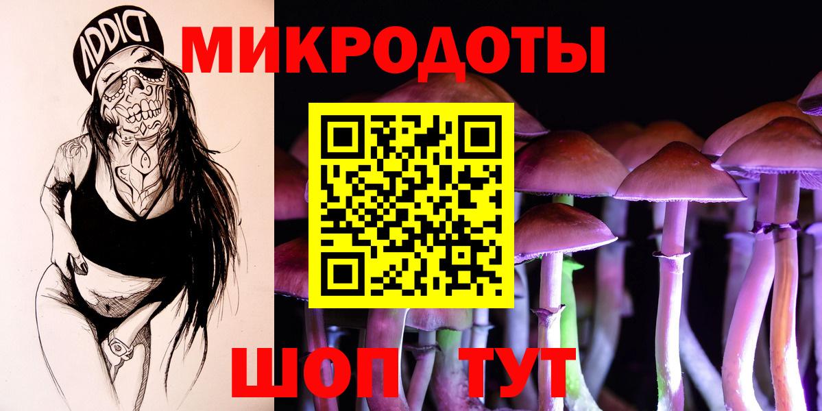 Псилоцибиновые грибы Psilocybe Отрадный